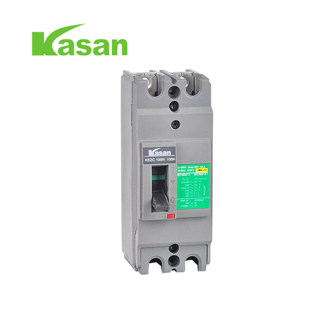 2P EZC Lazer paneli Kalıplı Case Circuit Breaker